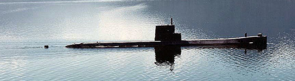 USS Seawolf (SSN-575)